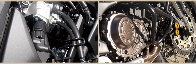 2014 Yamaha tennera GROUPED 03