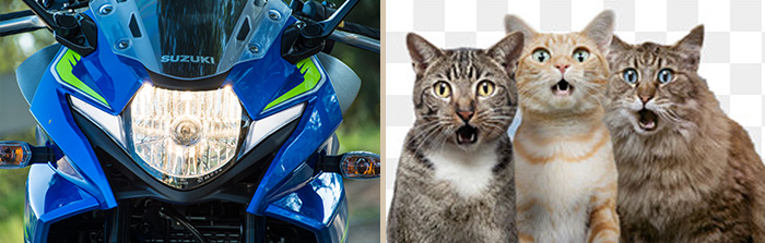 GSX250R GROUPED01
