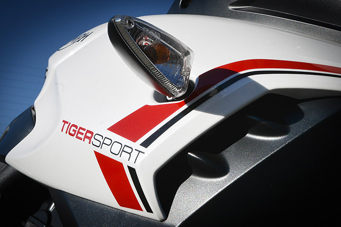 tiger sport main name